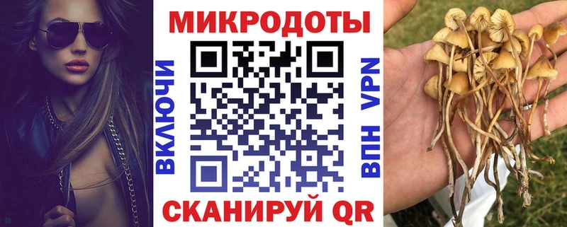 Галлюциногенные грибы Psilocybe  купить закладку  Сафоново 